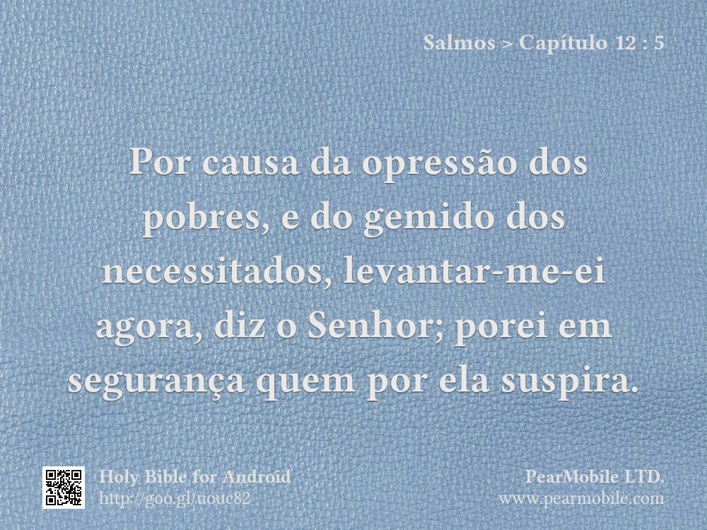 Salmos, Capítulo 12:5